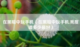 在黑暗中玩手机（在黑暗中玩手机,亮度调多少最好）
