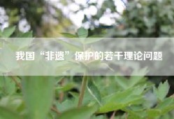 我国“非遗”保护的若干理论问题