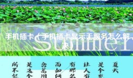 手机插卡（手机插卡显示无服务怎么解决）