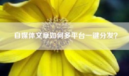 自媒体文章如何多平台一键分发？