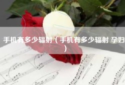 手机有多少辐射（手机有多少辐射 孕妇）