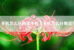 手机怎么分期买手机（手机怎么分期买？）