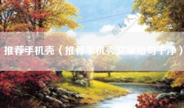 推荐手机壳（推荐手机壳文案短句干净）