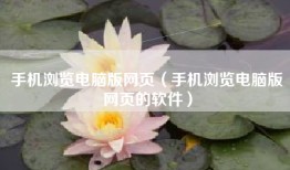 手机浏览电脑版网页（手机浏览电脑版网页的软件）