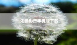 先锋影音手机版下载