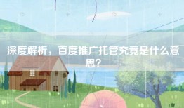 深度解析，百度推广托管究竟是什么意思？