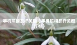 手机照相怎样美颜（手机照相怎样美颜好看）