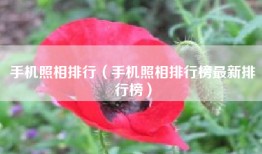 手机照相排行（手机照相排行榜最新排行榜）