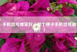 手机信号哪家好（那个牌子手机信号最好？）