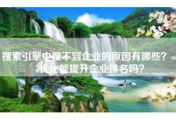 搜索引擎中搜不到企业的原因有哪些？seo优化能提升企业排名吗？