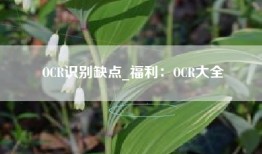 OCR识别缺点_福利：OCR大全