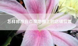 怎样修改在百度地图上的店铺位置