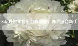 Soho外贸零售平台有哪些？哪个适合新手？