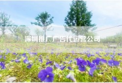 深圳推广广告代运营公司