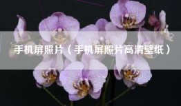 手机屏照片（手机屏照片高清壁纸）