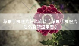 苹果手机照片怎么旋转（苹果手机照片怎么旋转过来看）