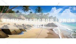 提升网站SEO排名的必备技能（掌握这些技巧）