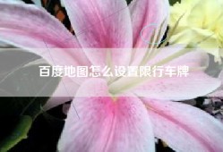 百度地图怎么设置限行车牌