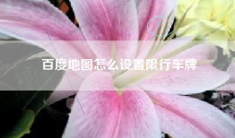 百度地图怎么设置限行车牌