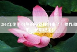 2024年炙手可热的拉新项目来了！操作简单，长期稳定！