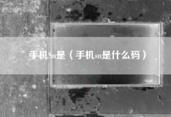 手机Sn是（手机sn是什么码）