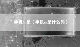 手机Sn是（手机sn是什么码）