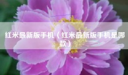 红米最新版手机（红米最新版手机是哪款）