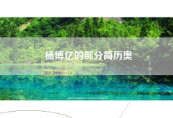 杨博亿的部分简历奥