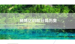 杨博亿的部分简历奥