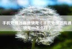 手机处理器高通骁龙（手机处理器高通骁龙888怎么样）