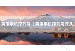美版手机序列号（美版手机序列号开头）
