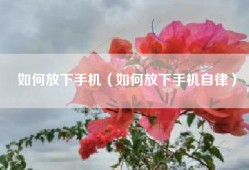 如何放下手机（如何放下手机自律）
