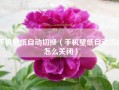 手机壁纸自动切换（手机壁纸自动切换怎么关闭）