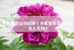 手机壁纸自动切换（手机壁纸自动切换怎么关闭）
