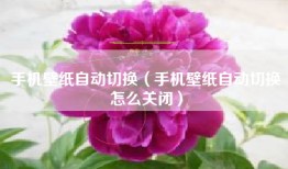 手机壁纸自动切换（手机壁纸自动切换怎么关闭）