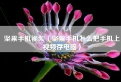 坚果手机视频（坚果手机怎么把手机上视频存电脑）