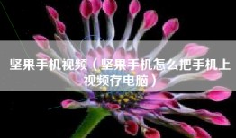 坚果手机视频（坚果手机怎么把手机上视频存电脑）