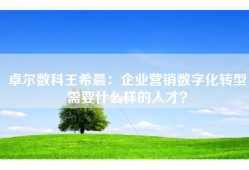 卓尔数科王希晨：企业营销数字化转型需要什么样的人才？