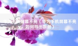 华为手机屏幕不亮（华为手机屏幕不亮如何导出数据）