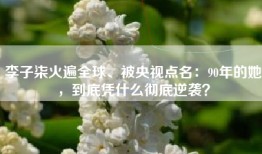 李子柒火遍全球、被央视点名：90年的她，到底凭什么彻底逆袭？