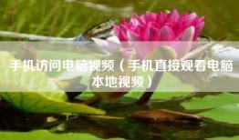 手机访问电脑视频（手机直接观看电脑本地视频）
