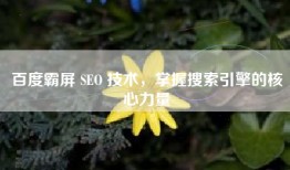 百度霸屏 SEO 技术，掌握搜索引擎的核心力量