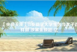 【央视关注】25岁辍学大学生为当孝子这样做 涉案金额超1亿