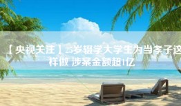 【央视关注】25岁辍学大学生为当孝子这样做 涉案金额超1亿