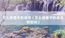 怎么查看手机串号（怎么查看手机串号和密码）