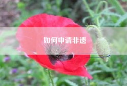 如何申请非遗