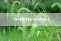 3600手机助手（360助手）
