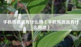 手机传感器有什么用（手机传感器有什么用途）
