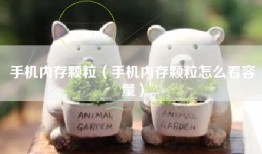 手机内存颗粒（手机内存颗粒怎么看容量）