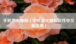 手机激光雕刻（手机激光雕刻软件中文版免费）